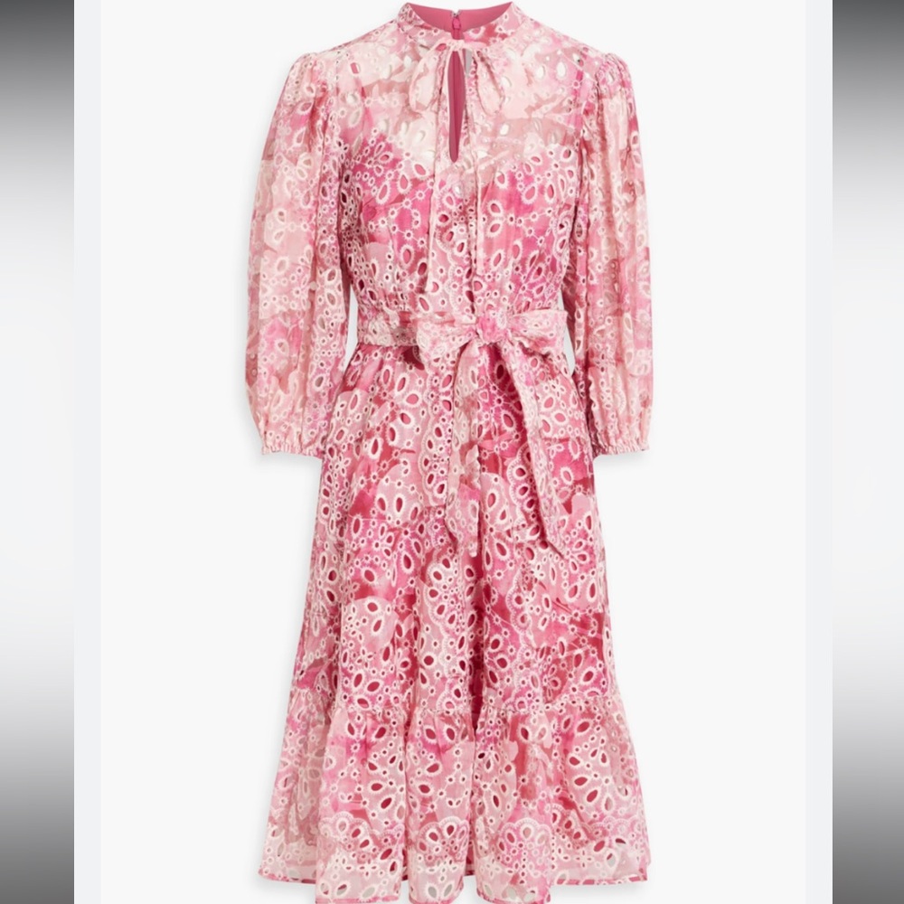 Mikael Aghal Ruffled Printed Broderie Anglaise Midi Dress